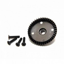 Crown Gear 43T for 11 Pinion
